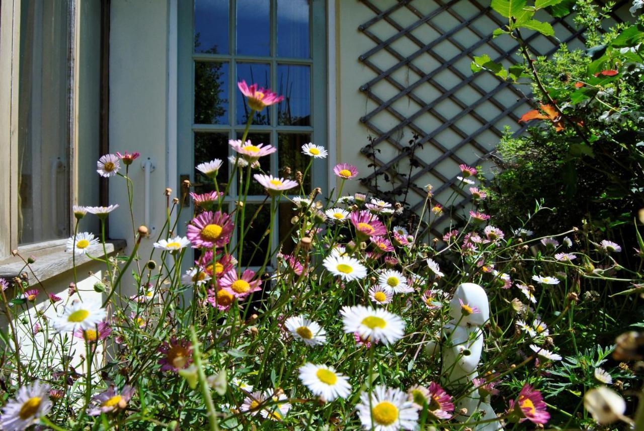 The Cottage Garden - A Herefordshire Retreat Ross-on-Wye Buitenkant foto